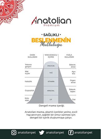 Anatolian Premium Adult Salmon Somonlu Yetişkin Kedi Maması 2 Kg