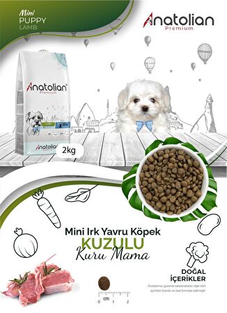 Anatolian Premium Mini Puppy Lamb Kuzulu Küçük Irk Yavru Köpek Maması 2 Kg