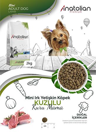 Anatolian Premium Mini Adult Lamb Kuzulu Yetişkin Küçük Irk Köpek Maması 2 Kg  