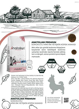 Anatolian Premium Mini Adult Salmon Somonlu Yetişkin Küçük Irk Köpek Maması 2 Kg