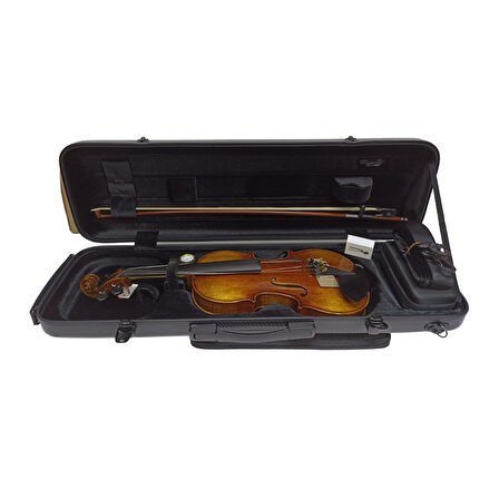 Carlovy VLA1 - 4/4 Keman