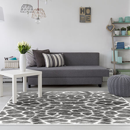Dekoreko Kaymaz Taban Djt Salon Halısı Trend Modern 1910