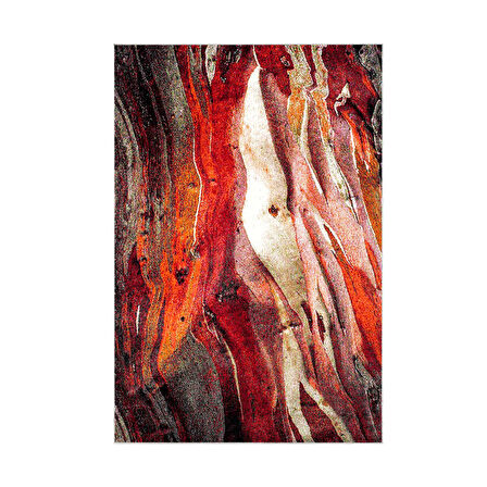 Dekoreko Kaymaz Taban Djt Mutfak Halısı Star Pamuk Modern S5050