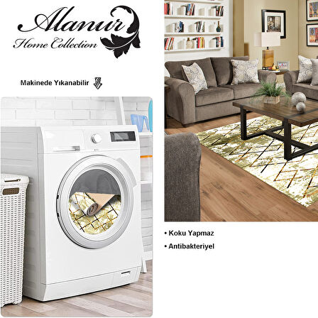 Dekoreko Kaymaz Taban Djt Salon Halısı Yıldız Deri Modern M5026