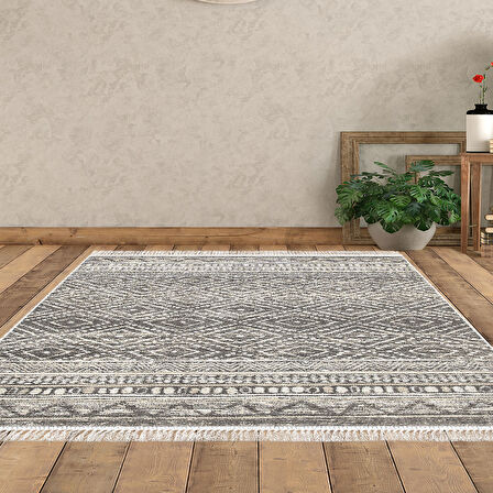 Dekoreko Kaymaz Taban Djt Salon Halısı Trend Saçaklı İskandinav F5087