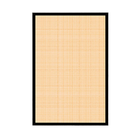 Alanur Home Kaymaz Taban Djt Banyo Mutfak Salon Halı Yıldız Deri Dokuma Desen E5007