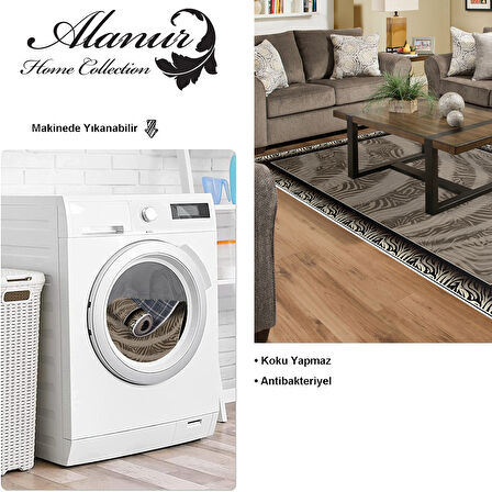 Dekoreko Kaymaz Taban Djt Salon Halısı Star Pamuk Modern 1912