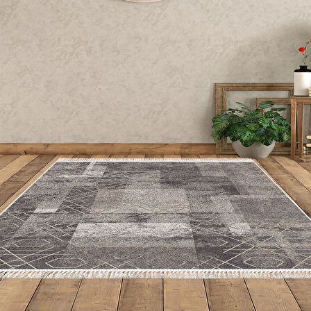 Dekoreko Kaymaz Taban Djt Salon Halısı Star Pamuk Saçaklı İskandinav F5132