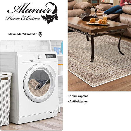 Dekoreko Kaymaz Taban Djt Salon Halısı Star Pamuk Modern F5036