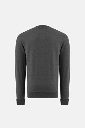 Bisiklet Yaka Regular Fit Next Unisex Sweatshirt Antrasit