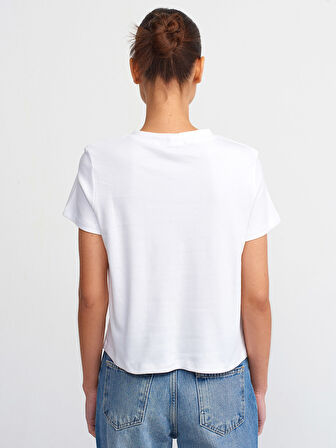 30584 DİLVİN T-SHIRT BİSİKLET YAKA PAMUKLU