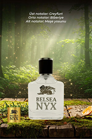 BELSEA NYX Nyrel EDP Erkek Parfüm 50 ml