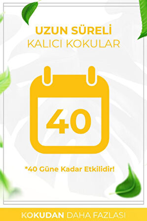 Amber - Amber Kare Bambu Çubuklu Oda Kokusu 100ml