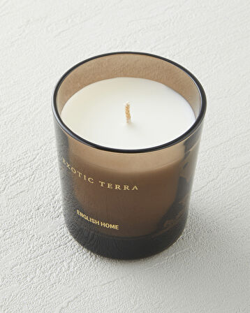 Exotic Terra Kokulu Mum 120 gr Şeffaf