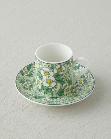 Isola New Bone China 4 Parça 2 Kişilik Kahve Fincan Takımı 80 ml Yeşil