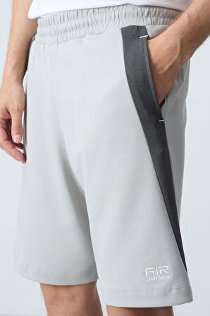 Taş Pamuklu Kalın Yumuşak Dokulu Standart Fit Basic Erkek Şort  - 81280