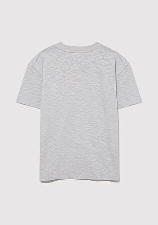 Organik Pamuklu Gri Basic Tişört 6610203-70075