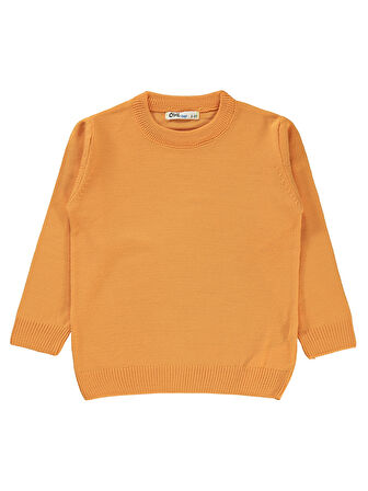 Civil Boys Erkek Çocuk Kazak 2-5 Yaş Hardal