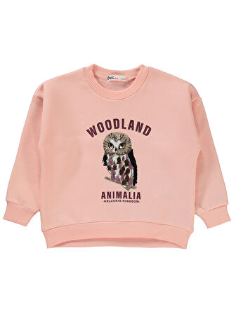 Civil Girls Kız Çocuk Sweatshirt 2-5 Yaş Pudra