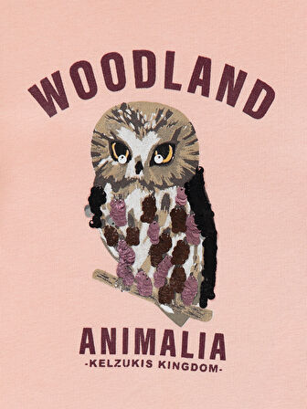 Civil Girls Kız Çocuk Sweatshirt 2-5 Yaş Pudra