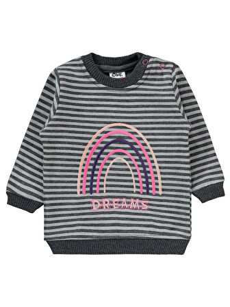 Civil Baby Kız Bebek Takım 6-18 Ay Antrasit 