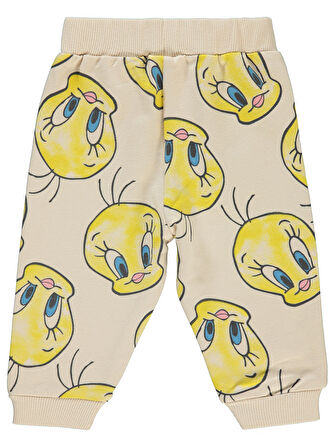 Tweety Kız Bebek Eşofman Altı 6-18 Ay Taş Rengi