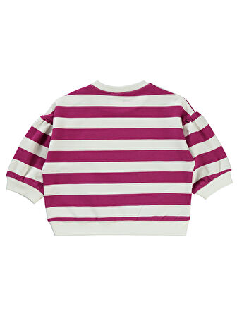 Civil Baby Kız Bebek Sweatshirt 6-18 Ay Orkide Moru