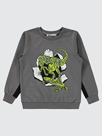 Civil Boys Erkek Çocuk Sweatshirt 2-5 Yaş Antrasit