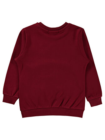 Civil Boys Erkek Çocuk Sweatshirt 2-5 Yaş Bordo