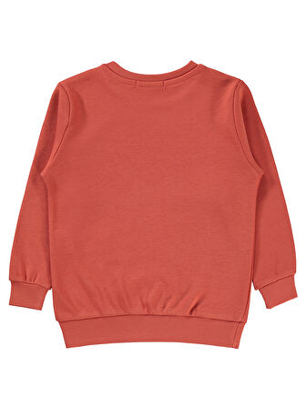 Civil Boys Erkek Çocuk Sweatshirt 2-5 Yaş Kiremit