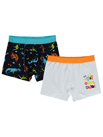 Civil Boys Erkek Çocuk 2'li Boxer Set 2-10 Yaş Standart