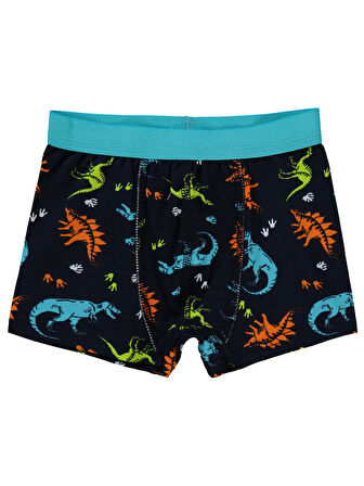 Civil Boys Erkek Çocuk 2'li Boxer Set 2-10 Yaş Standart