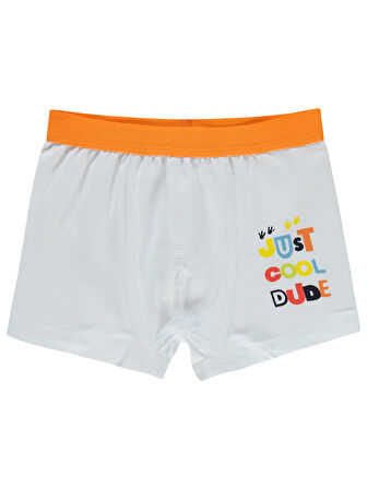 Civil Boys Erkek Çocuk 2'li Boxer Set 2-10 Yaş Standart
