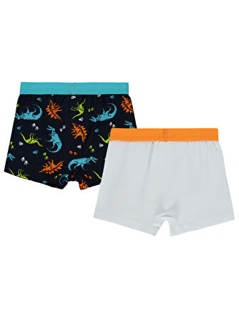Civil Boys Erkek Çocuk 2'li Boxer Set 2-10 Yaş Standart