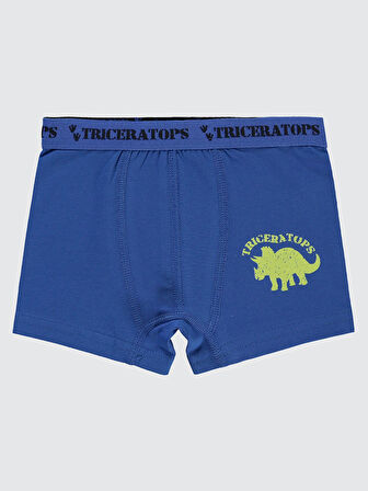 Civil Boys Erkek Çocuk 3'lü Boxer Set 2-10 Yaş  Yeşil