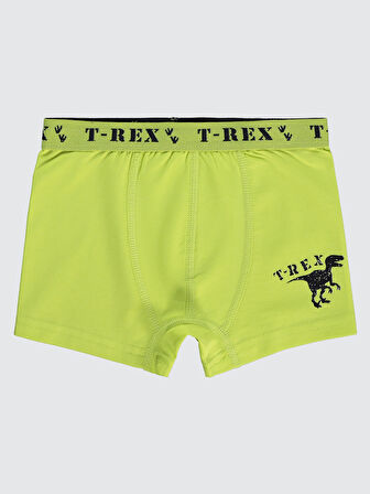 Civil Boys Erkek Çocuk 3'lü Boxer Set 2-10 Yaş  Yeşil