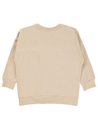 Civil Boys Erkek Çocuk Sweatshirt 2-5 Yaş Taş Rengi