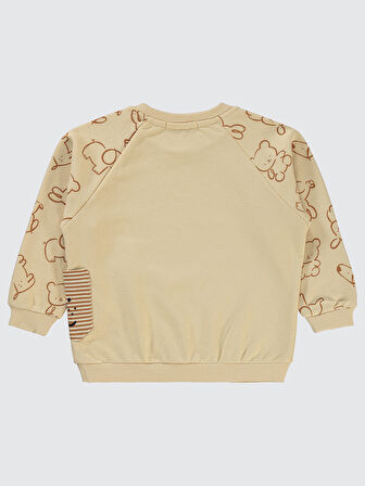 Civil Boys Erkek Çocuk Sweatshirt 2-5 Yaş Taş Rengi