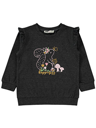 Civil Girls Kız Çocuk Sweatshirt 2-5 Yaş Antrasit