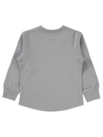 Civil Boys Erkek Çocuk Sweatshirt 2-5 Yaş Gri