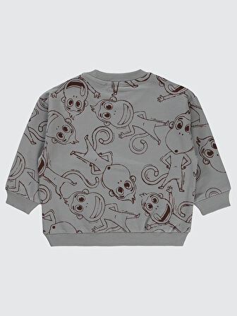 Civil Boys Erkek Çocuk Sweatshirt 2-5 Yaş Gri