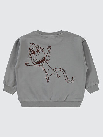 Civil Boys Erkek Çocuk Sweatshirt 2-5 Yaş Gri