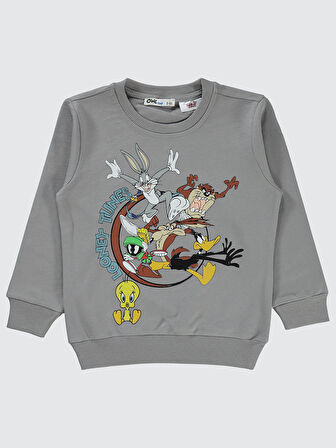 Looney Tunes Erkek Çocuk Sweatshirt 2-5 Yaş Gri