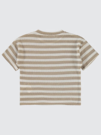 Civil Boys Erkek Çocuk Tişört 2-5 Yaş Kahve