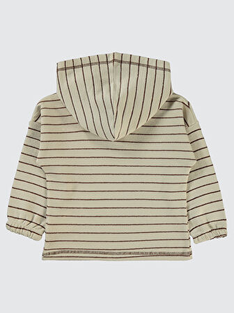 Civil Boys Erkek Çocuk Sweatshirt 2-5 Yaş Taş Rengi