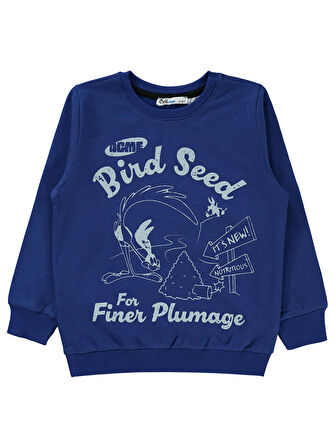 Road Runner Erkek Çocuk Sweatshirt 2-5 Yaş Saks Mavisi