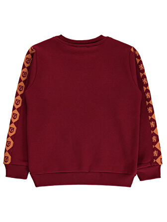 Harry Potter Erkek Çocuk Sweatshirt 6-9 Yaş Bordo