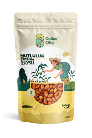 Tuzlu Kavrulmuş Yer Fıstığı 400Gr