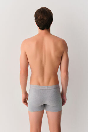 Suwen Erkek 2 li Pamuklu Boxer