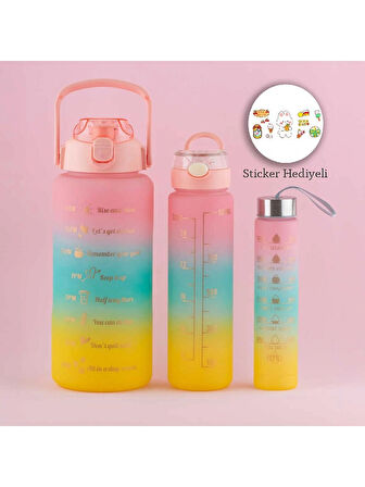 Porsima 11918 3lü Motivasyon Stickerlı Kokusuz Matara Suluk Lila